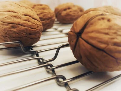 Cintas transportadoras planas flexibles para panadería