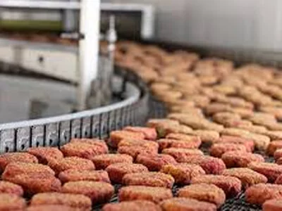 Self-Stacking Spiral Freezer Belts for Snack Food Production