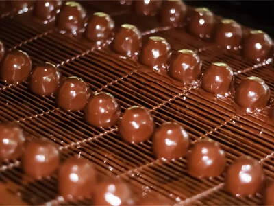 Flat Flex Conveyor Belts for Chocolate Cottoning