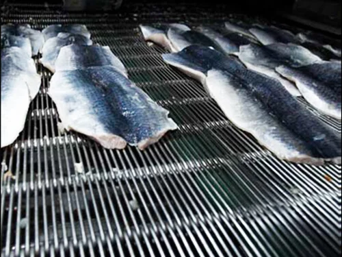 Eye Link Conveyor Belts for Freezing