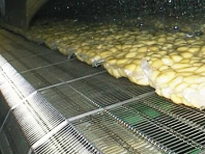 Eye Link Conveyor Belts for Washing