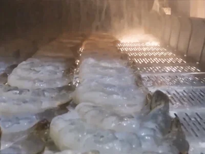 Plate Link Conveyor Belt for Food Production