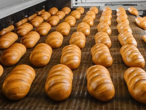 metal conveyor belts